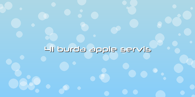 41 Burda Apple Servis