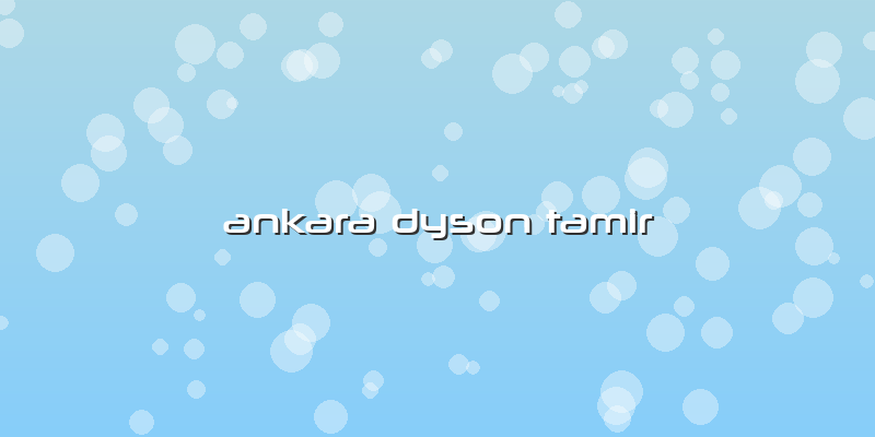 Ankara Dyson Tamir