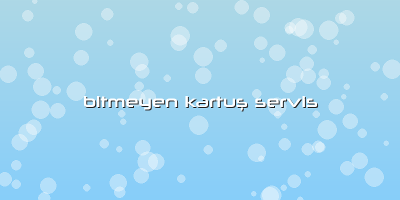 Bitmeyen KartuÅŸ Servis