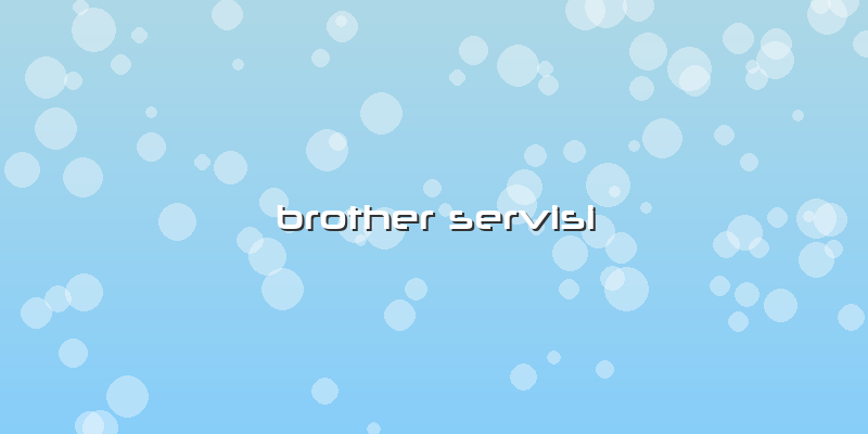 Brother Servisi