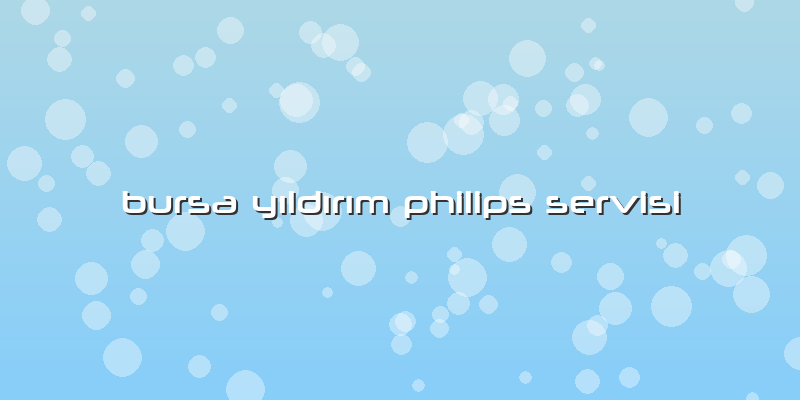 Bursa Yıldırım Philips Servisi