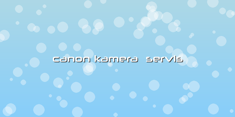Canon Kamera  Servis