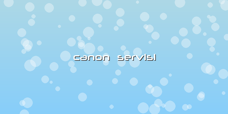 Canon  Servisi