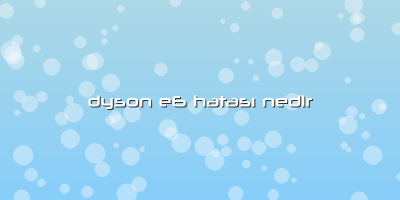 Dyson E6 Hatası Nedir