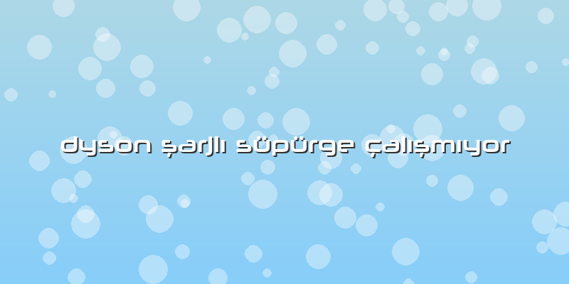 Dyson şarjlı Süpürge çalışmıyor