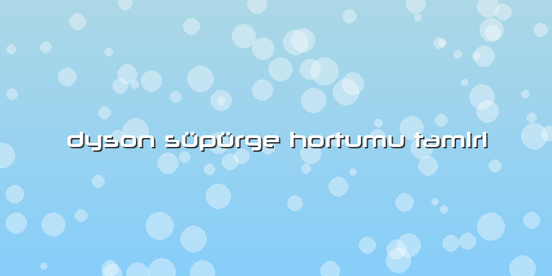 Dyson Süpürge Hortumu Tamiri