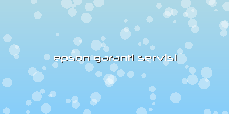 Epson Garanti Servisi