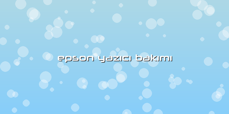 Epson YazÄ±cÄ± BakÄ±mÄ±