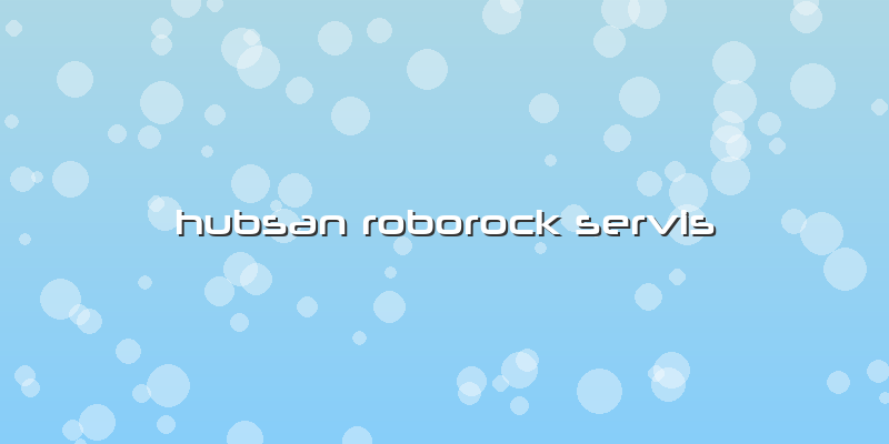 Hubsan Roborock Servis