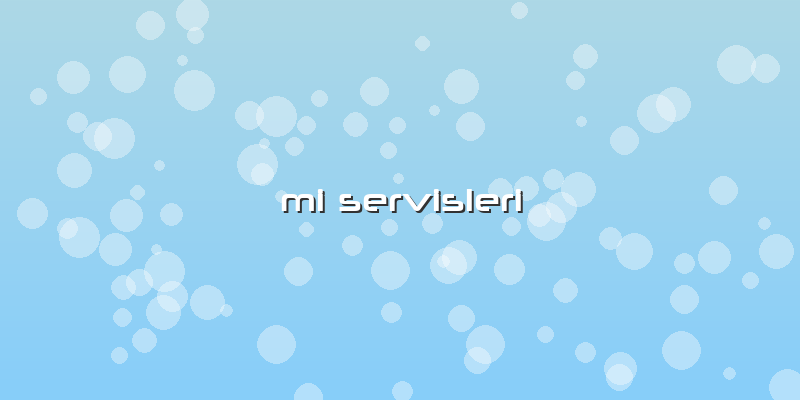 Mi Servisleri
