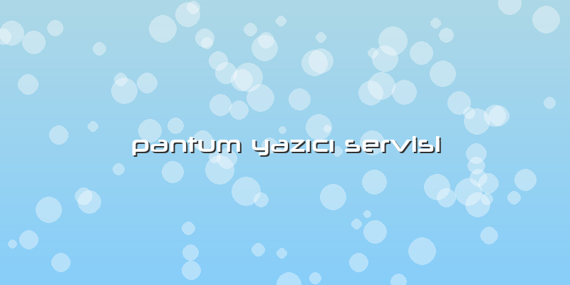 Pantum Yazıcı Servisi