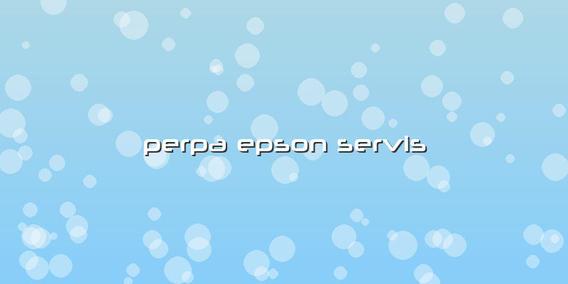 Perpa Epson  Servis