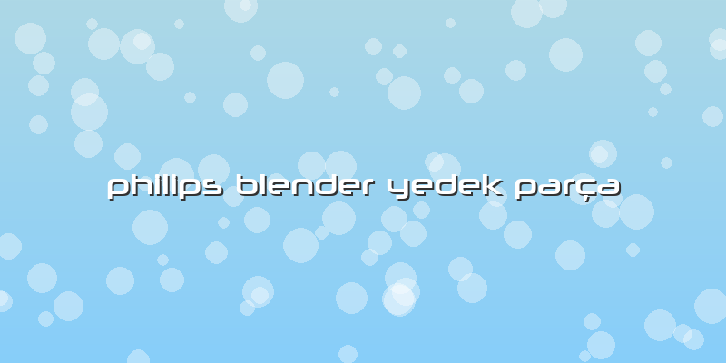 Philips Blender Yedek Parça