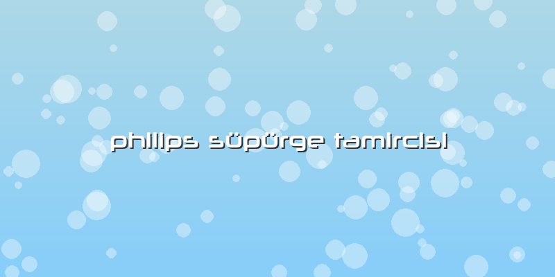 Philips Süpürge Tamircisi