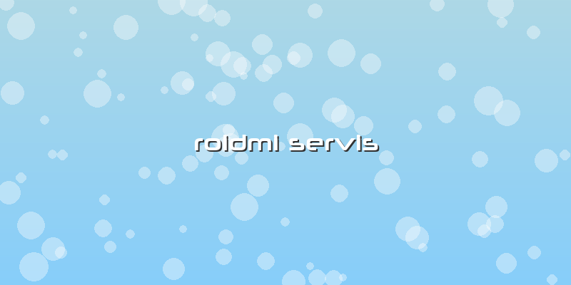 Roidmi  Servis