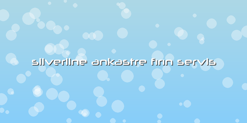 Silverline Ankastre Fırın Servis