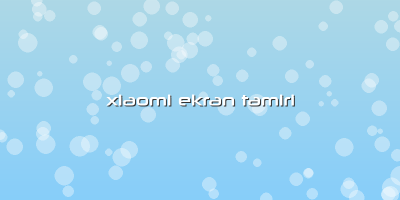 Xiaomi Ekran Tamiri